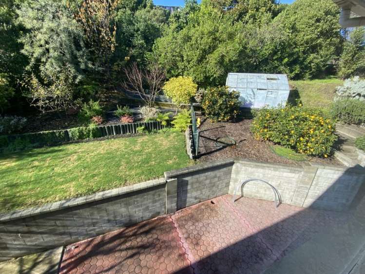 10b Greenhill Road Wakatu_11