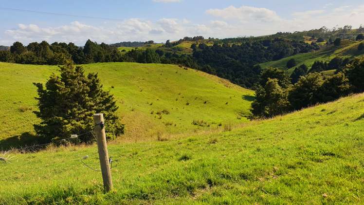 Lot 2/347 Porter Road Paparoa_14