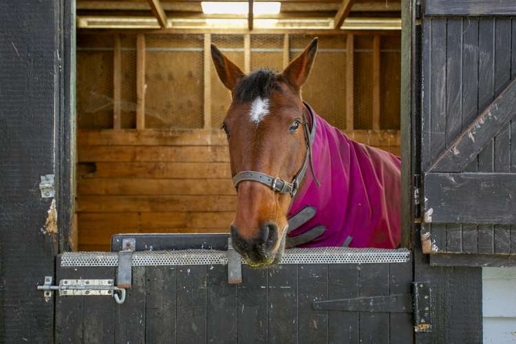 34 Hetherington Road Tirau South Waikato Rural Property For Sale