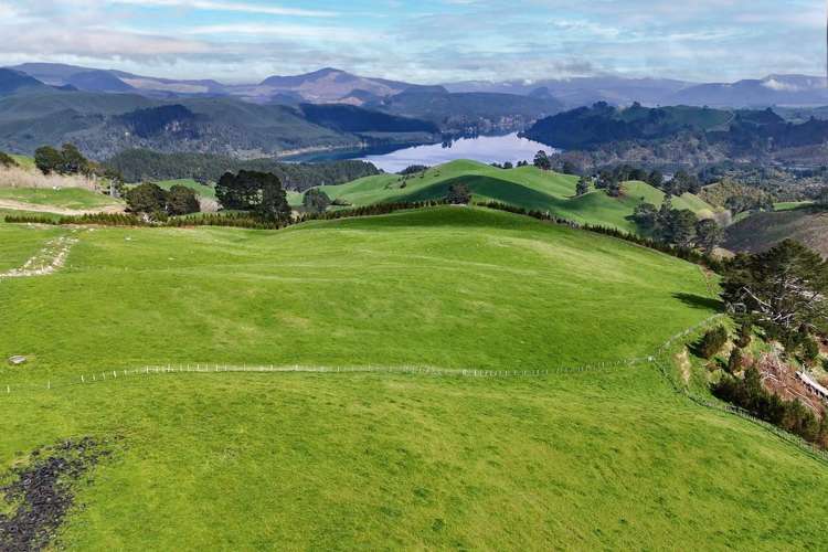 494B Dods Road Waikite Valley_22