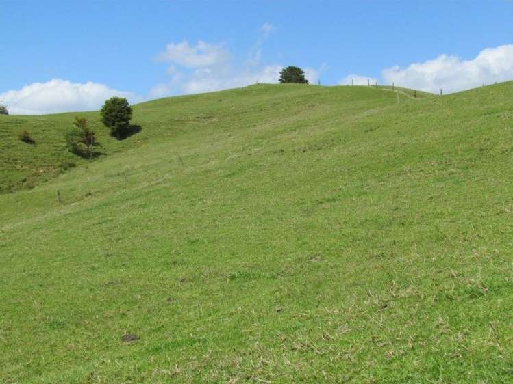 1871 State Highway 14 Mangapai and Surrounds_19