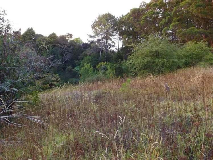 35 Punga Grove Avenue Riverside_5