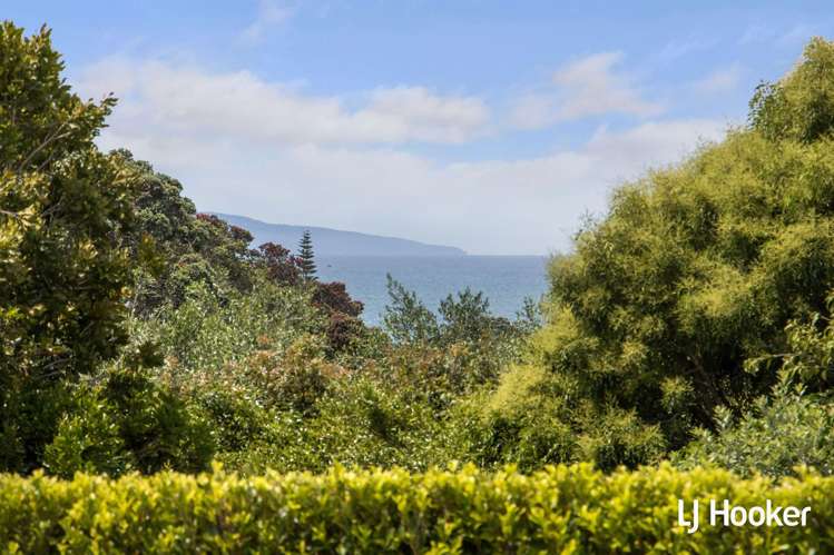 121 Koutunui Road Athenree_4