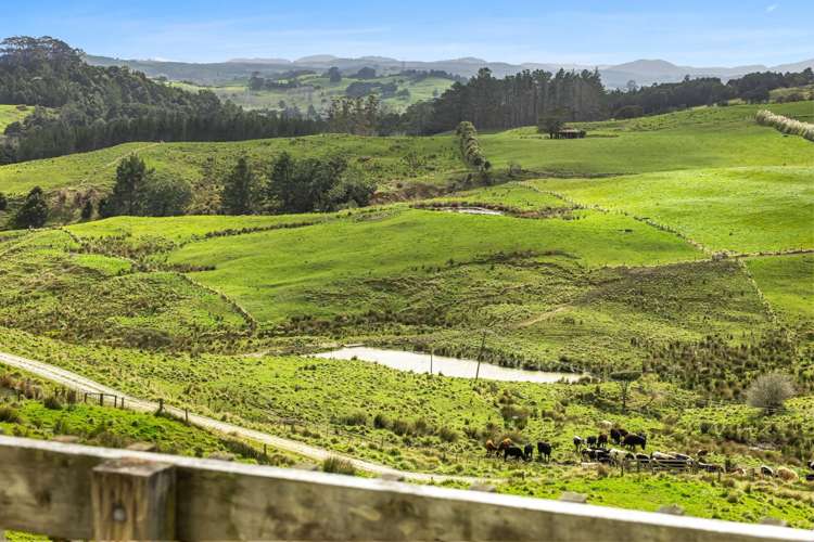 115 Biddle Road Wellsford_32