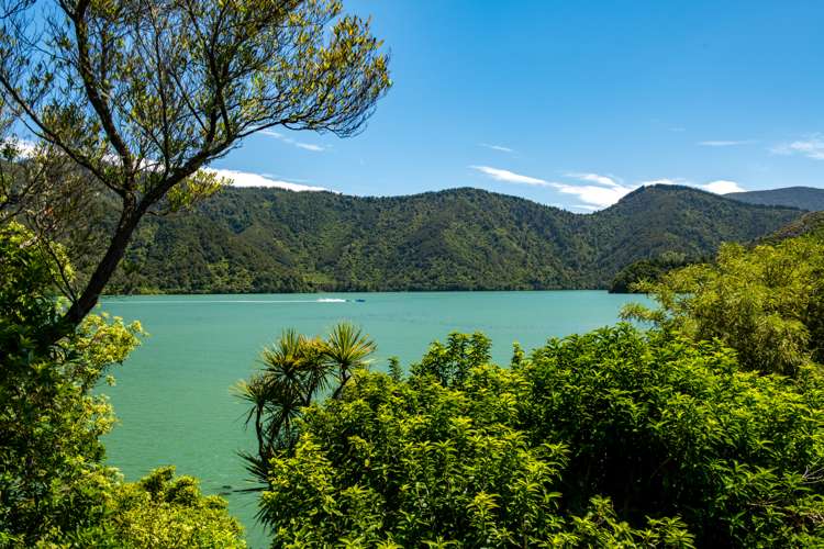 2 Cook Street Havelock_7