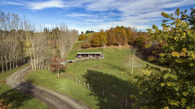 149 Parnassus Road Cheviot_23