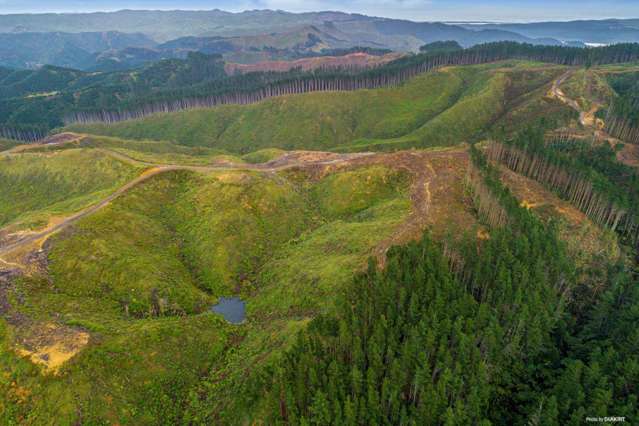 1211 Klondyke Road Port Waikato_4