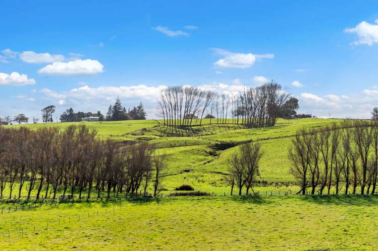 97 Vineyard Road Te Kauwhata_12