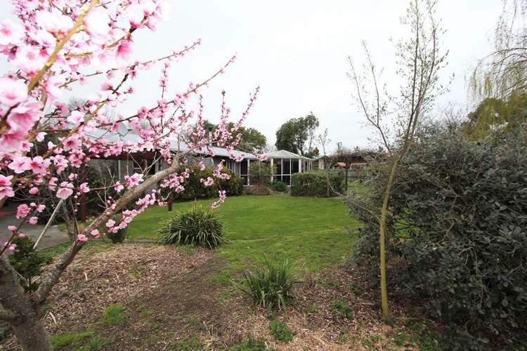 33 Pound Road Leeston_15