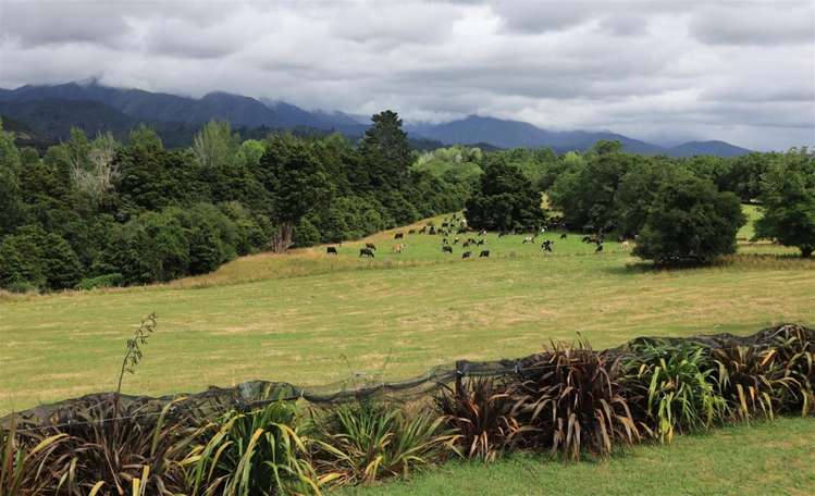 690 East Takaka Road Kahurangi National Park_15