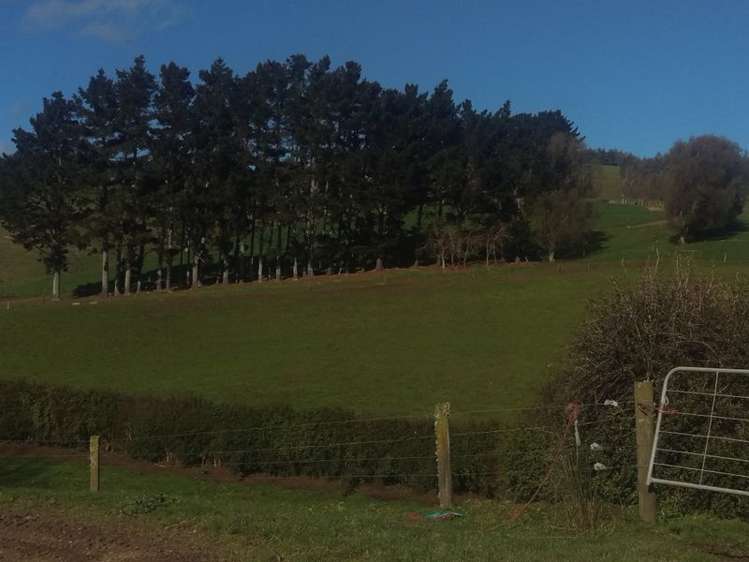 648 Scotsman Valley Road Tauwhare_4