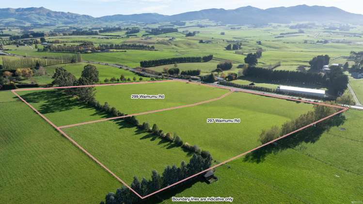 297 and 299 Waimumu Road_0