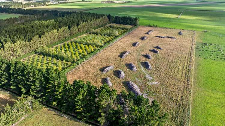 2359 South Eyre Road Eyrewell_16