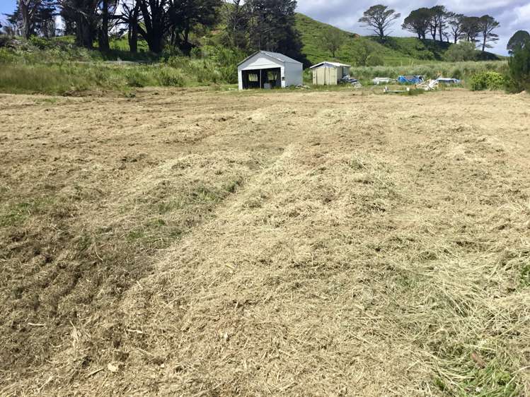 1391 Kaipara Hills Road Kaipara Flats_12