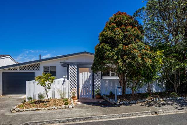 22 Rossport Street Johnsonville_1