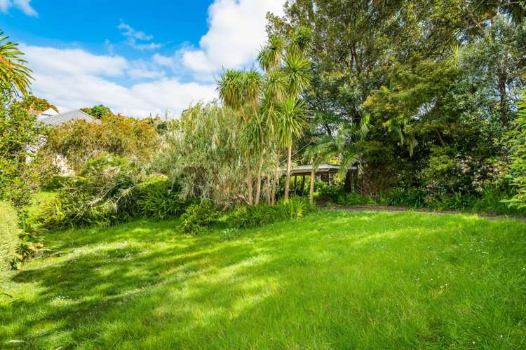 10 Handley Avenue Narrow Neck_16