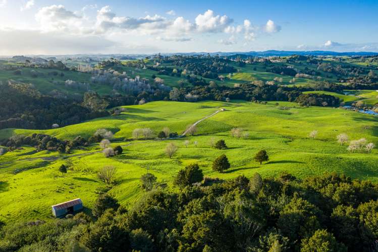 400 Partridge Road Wellsford_16