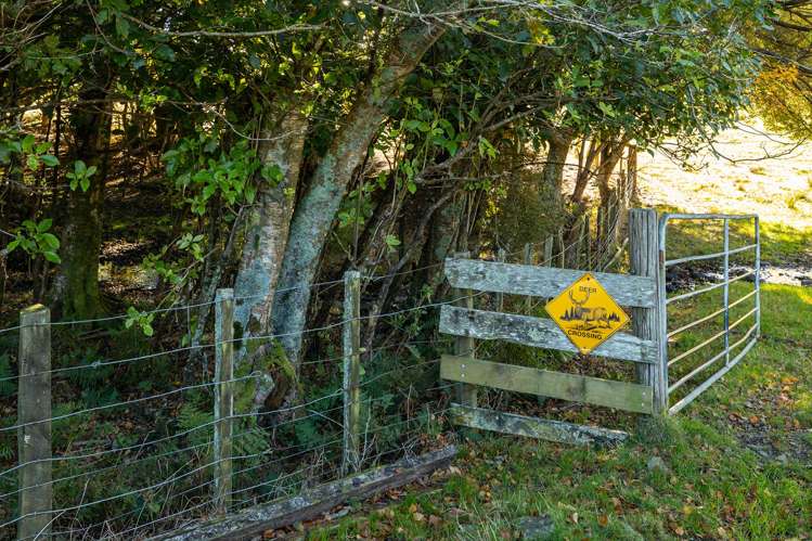 148 Mangatainoka Valley Road Eketahuna_26