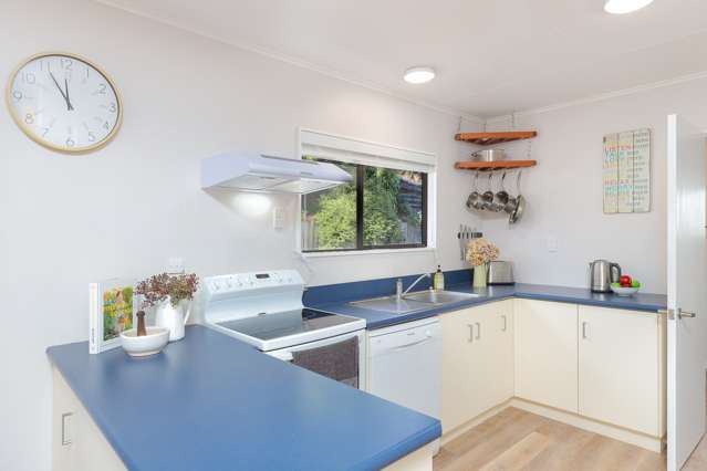 41 Mount Pleasant Avenue Beachville_2