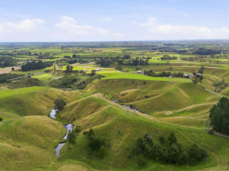 100 Heights Road Shannon_6