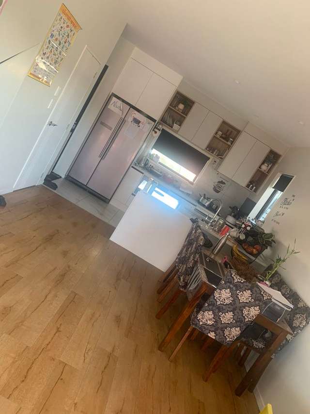 31 Kaha Road Takanini_1