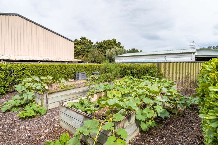 3 Camellia Lane Carterton_19