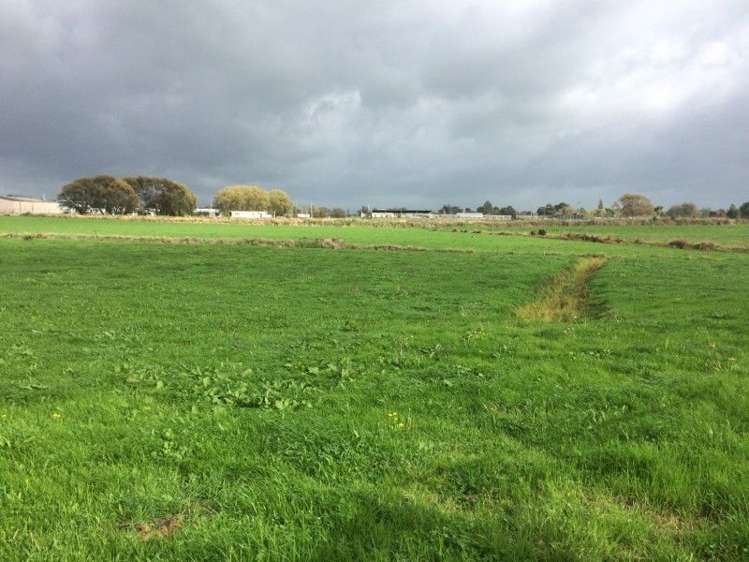 16 Buchanan Street Paeroa_2