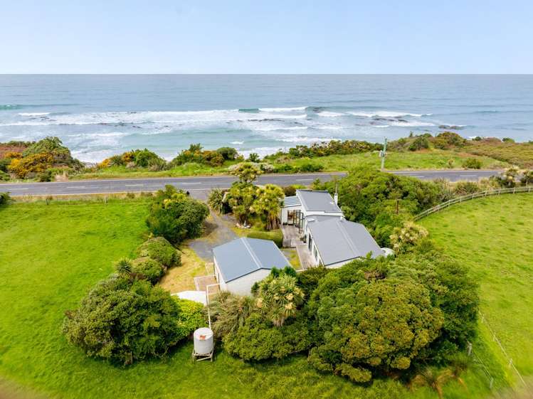 384 Taieri Mouth Road Kuri Bush_45