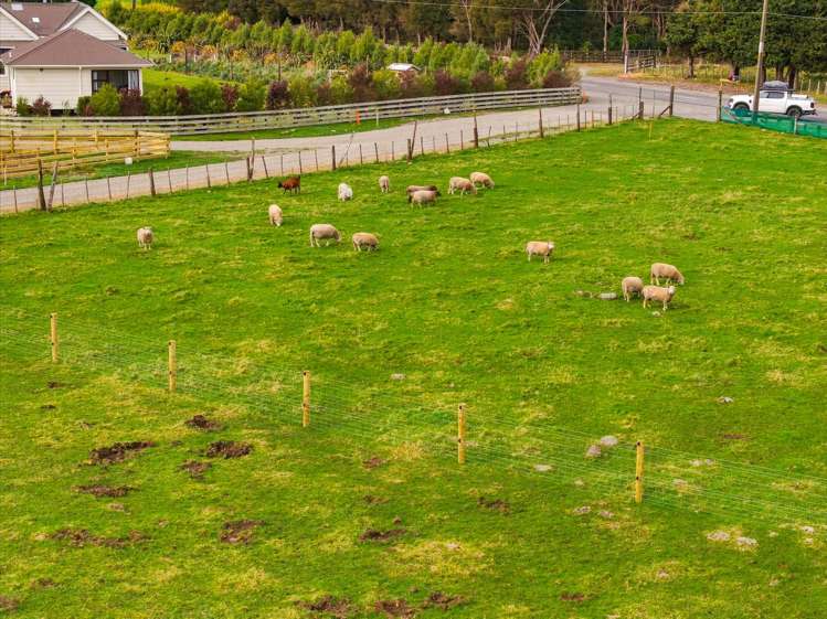 Lot Lot 2/759 Chester Road West Taratahi_7