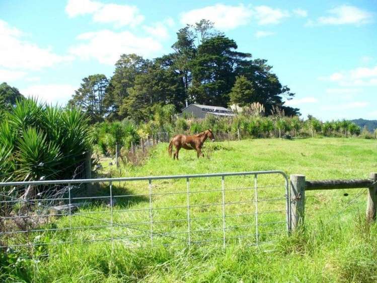 150 Jordan Valley Road Hikurangi_12