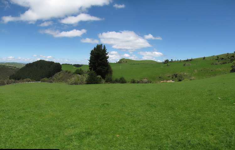 205 Kaweka Road Taihape and Surrounds_11