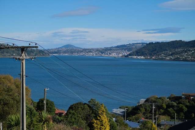 31 Gorman Street Macandrew Bay_2