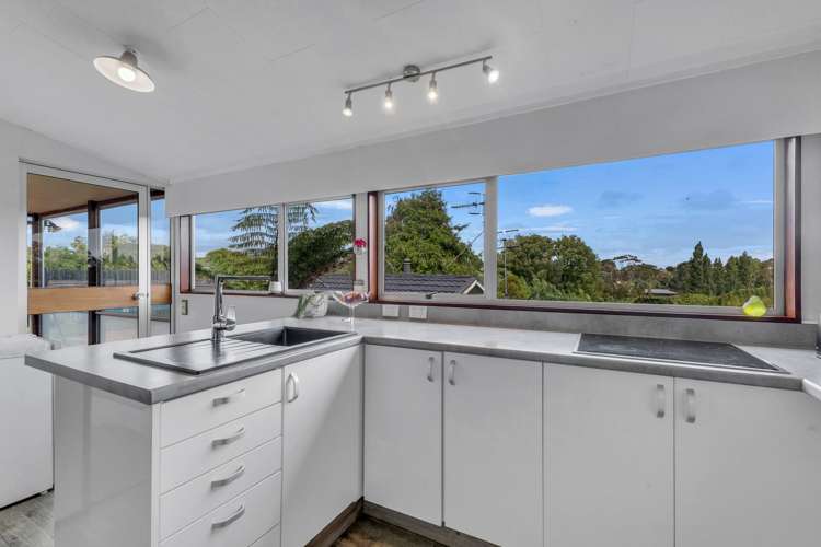 148 Mount View Road Bastia Hill_20