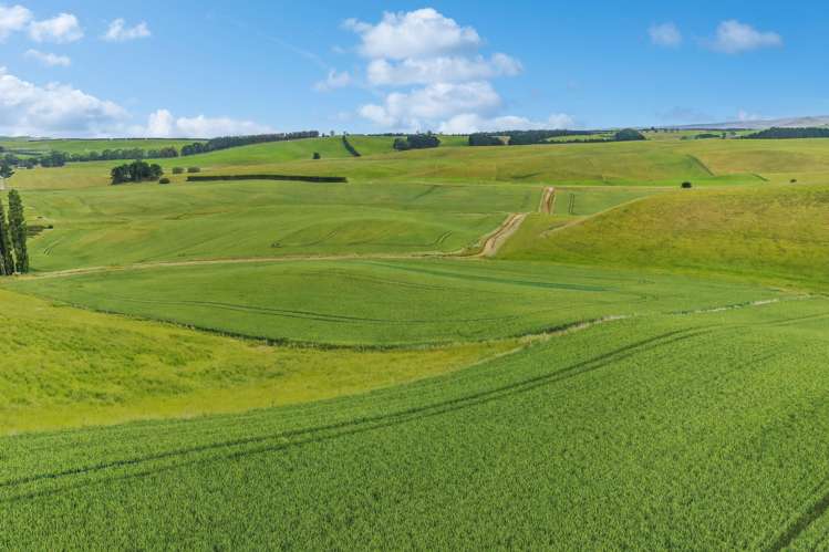 70 Finlay's Road Windsor_11