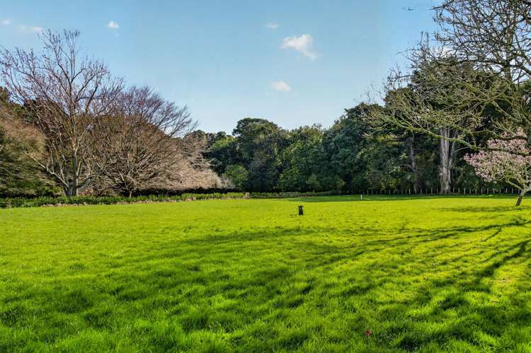 Lots 4-10/58 West Street Greytown_9