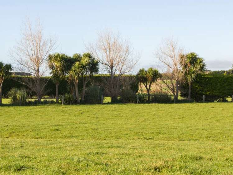 542 Flora East Makarewa_9