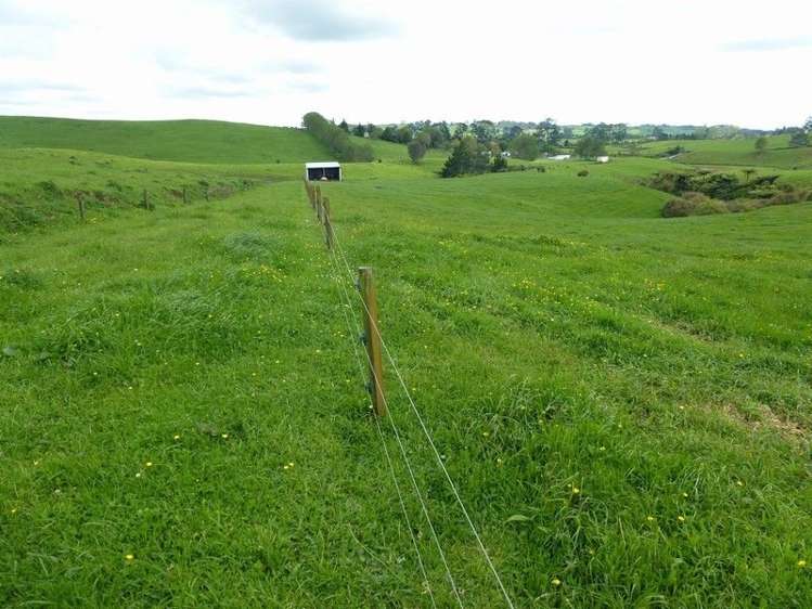 1265 Mountain Road Inglewood_27