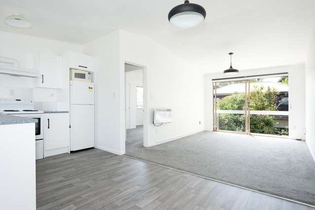 1/30 Ascot Avenue Remuera_3