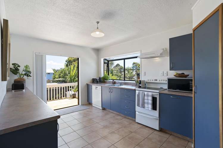 19 Springleigh Avenue Mount Albert_5