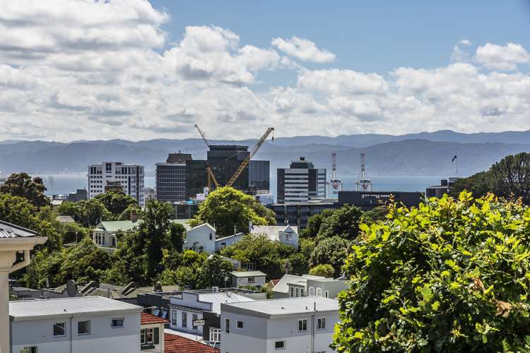 3/24 Patanga Crescent Thorndon_11