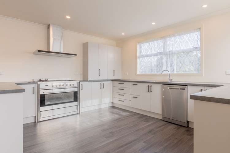 117 Tavistock Road Waipukurau and Surrounds_2