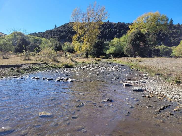 Lake McKay Station, a 6122ha cattle and sheep farm, near Wanaka has finally sold for $21.5m. Photo / Supplied