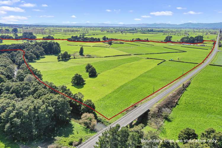 711 Horrell Road Morrinsville_0