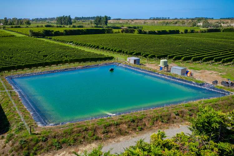 1479 Redwood Pass Road Seddon_19