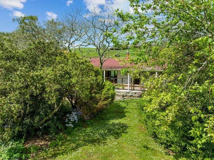 116 Springfield Road Oakleigh_8