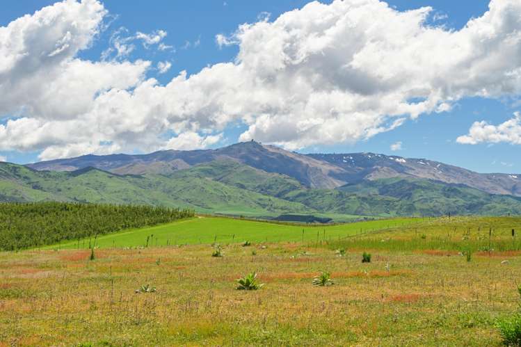 25 Northridge Road, Waikerikeri Alexandra_2