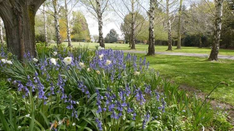 16 Max Wallace Drive Ashley_14