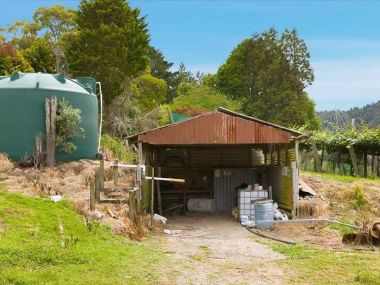 1399A No. 3 Road Te Puke_16