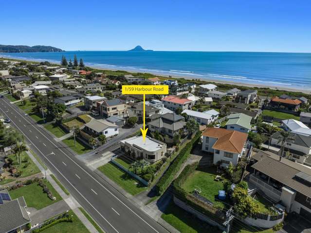 1/59 Harbour Road Ohope_3