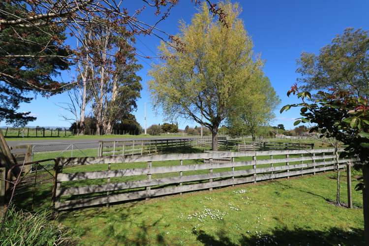 153 Chester Road Carterton_16